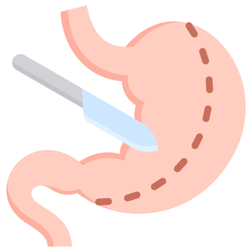 bariatric